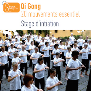 20 mouvements essentiels de Qi Gong