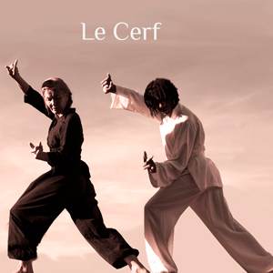 qi gong des 5 animaux: le cerf