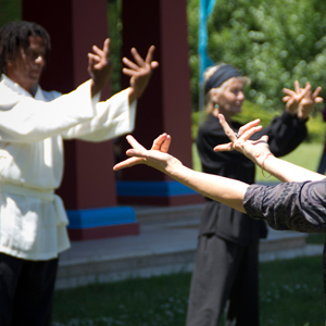 stages de Qi Gong et Taïchi Chuan