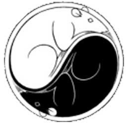 l'année du rat : yin yang