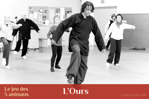 Qi gong des 5 animaux : l'ours